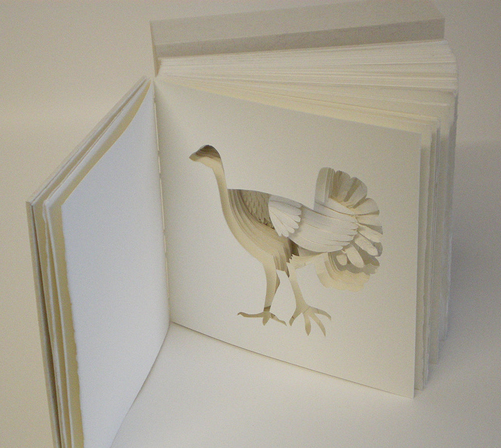 Open book revealing the Brush Turkey part of the Three Birds Book