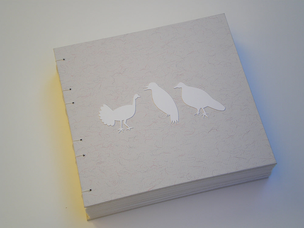Cover of Three Birds Book with the featured birds collaged onto the cover
