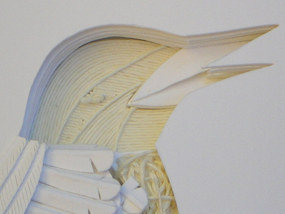 Kingfisher detail