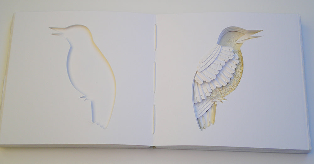 Open book showing illustrations of a bird on each page.