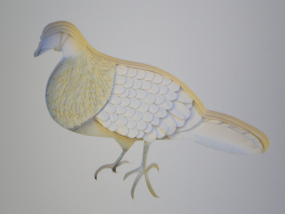 Image of Pigeon within the Three Birds Book