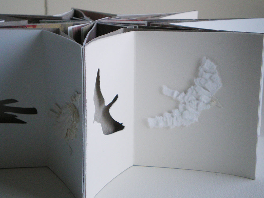 Crow Star Book