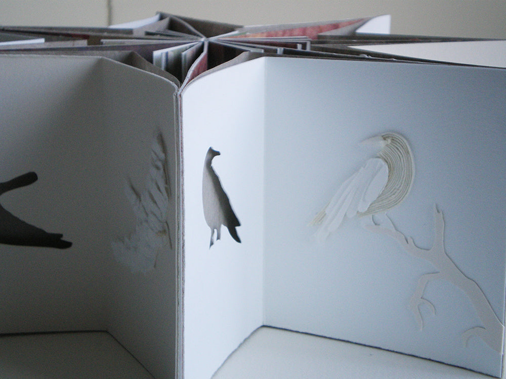 Crow Star Book