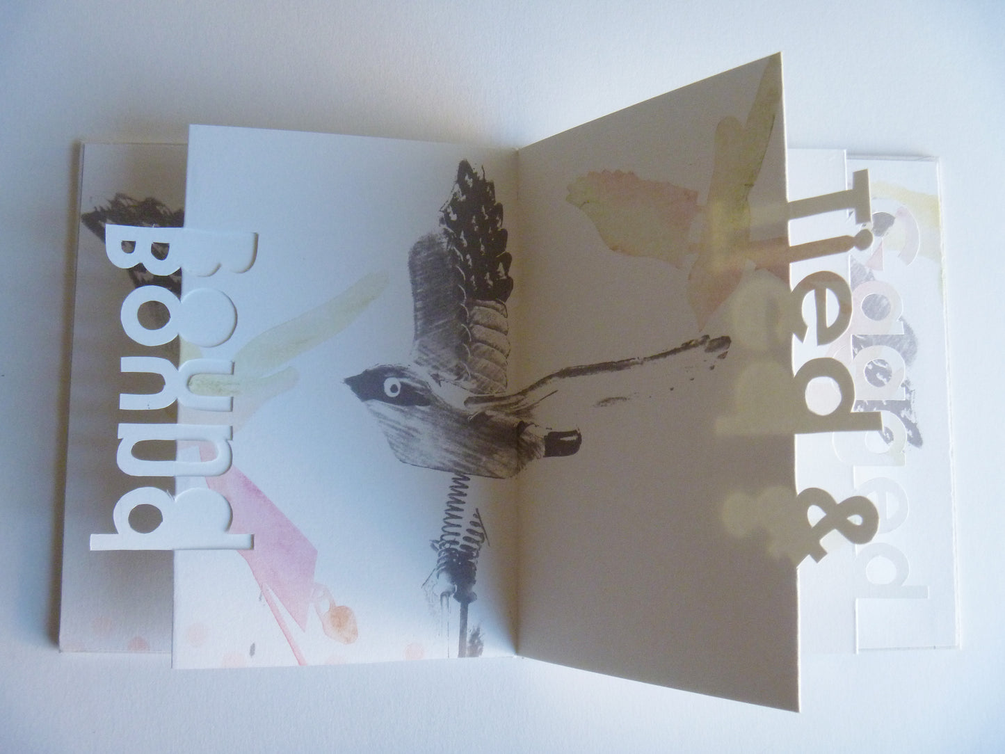 Open book with illustrations of a bird and text on a white background with cut out words
