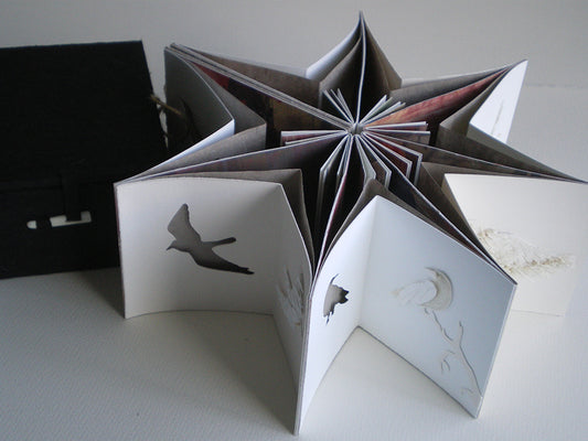 Crow Star Book