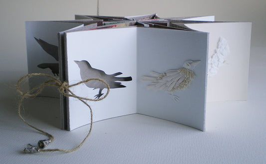 Crow Star Book