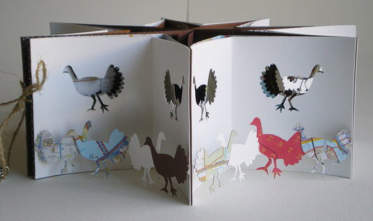 Turkey Star Book