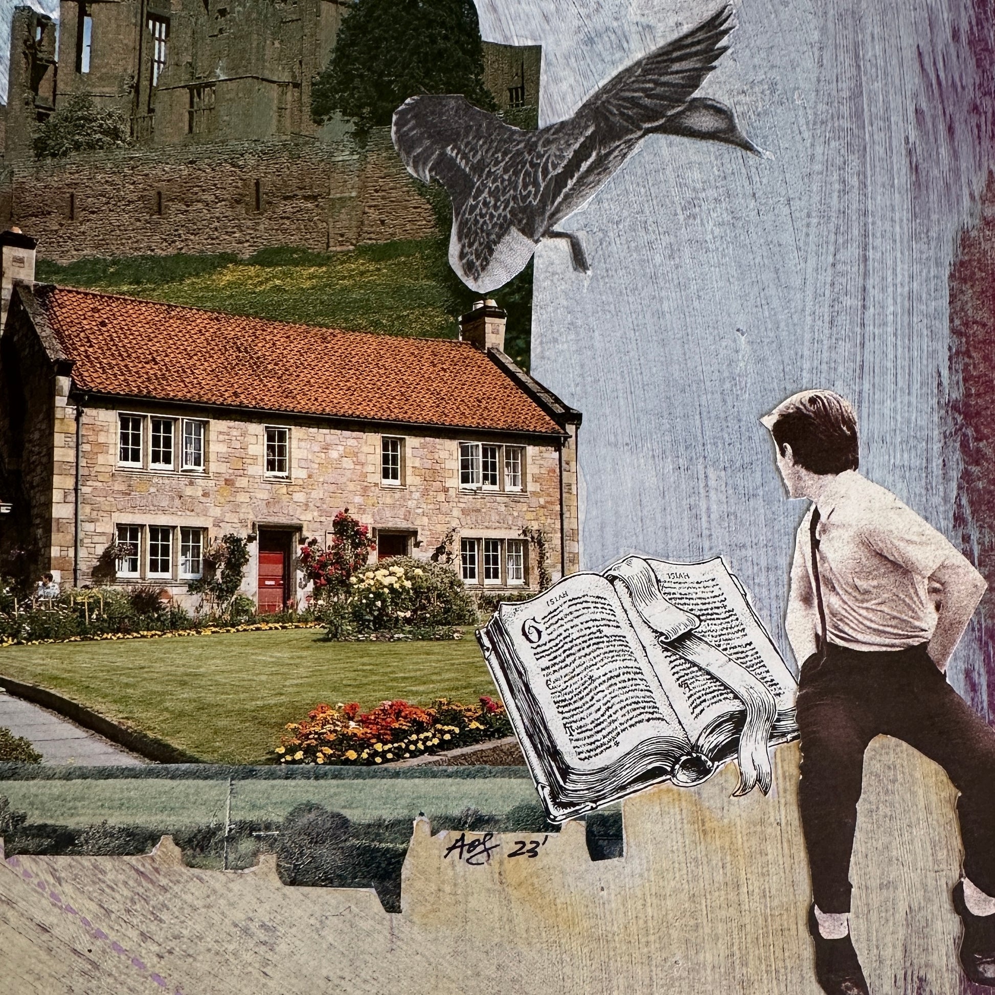 Collage of a person reading a book, a house, and a bird with a blurred background.