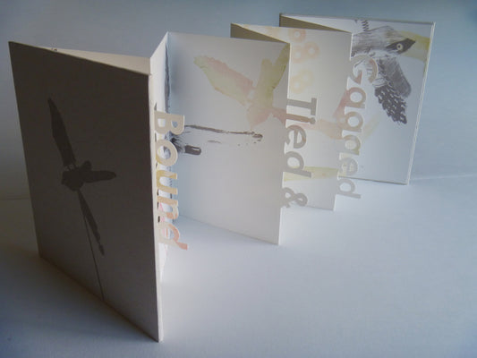 Concertina book with cutout words screen printed images of birds with a hard cover and inlay image on the front 